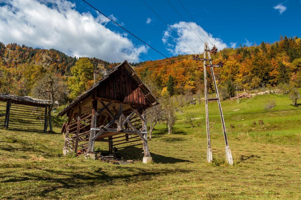 House Pokrovec -